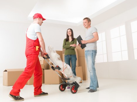 House removals and packing support